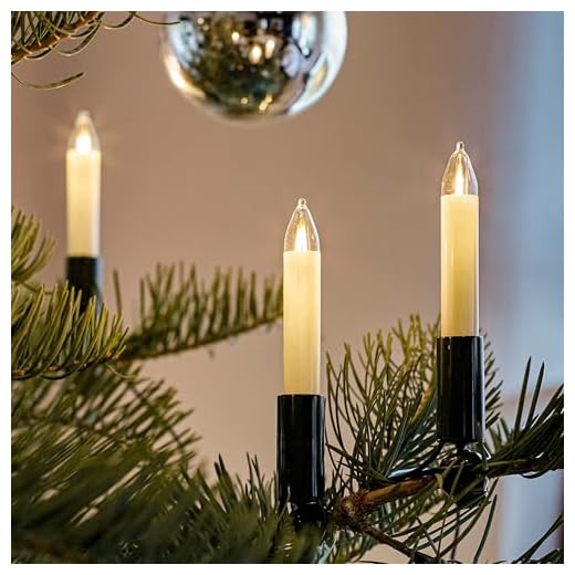 brightum 802061 Weihnachtsbaum-Beleuchtung Innen netzbetrieben Anzahl lamp 20 LED Beleuchtete