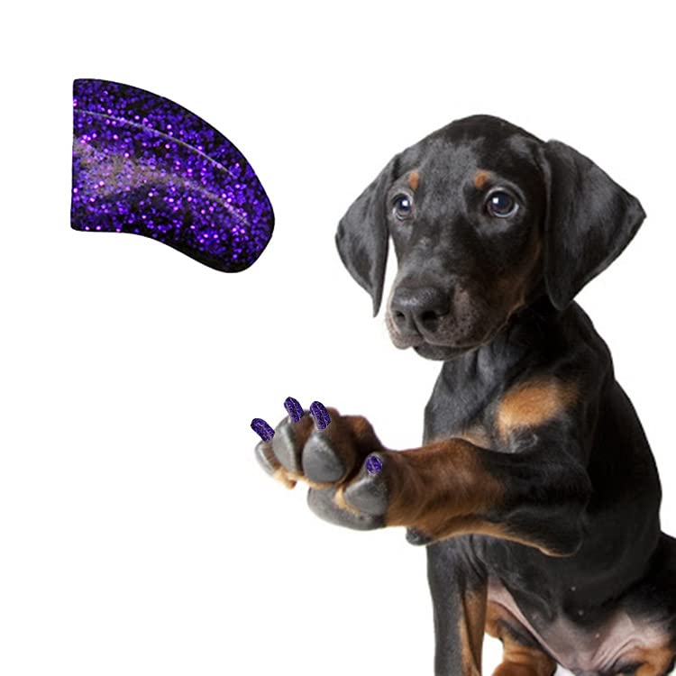 Pretty Claws 3 Month Supply Soft Nail Caps with Adhesive for Dog Claws - BlackBerry Glitter XXL