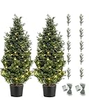 FutureNest Artificial Topiary Tree 2-Set - Beautiful Realistic Faux Cedar Pines, 4 Feet Tall, UV Protection for Longer Life, Heavy Duty Pots for Outdoor & Indoor Decor(2 LED Light Set Included)