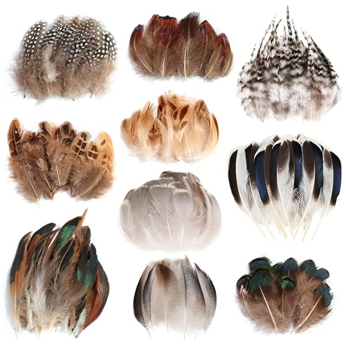 300 Stück Federn zum Basteln Set Bastel Federn in 10 Designs und Dekofedern für DIY Schmuck Kränze Hüte Floristik Bunte Federn zum Basteln für kreative Projekte Haaraccessoires und Dekoration