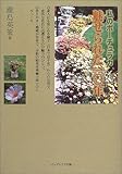 1250円「私のポーチュラカ・魅せられた10年」