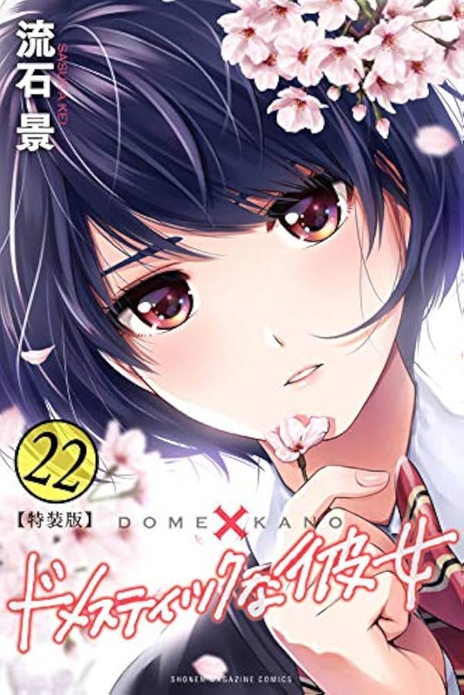 【ほぼシュリンク付き未開封】ドメスティックな彼女 特装版22-25巻セット 51831IAMCtL._UF894,1000_QL80_.jpg
