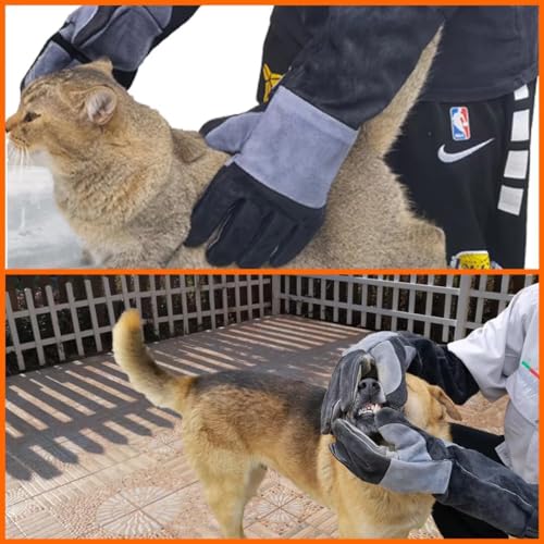 WZQH 60 CM / 23.6 ZOLL Leder Bissfeste Handschuhe für den Umgang mit Tieren, Anti-Biss Arbeitshandschuhe, Umgang mit Hund/Katze/Vogel/Schlange/Papagei/Eidechse/Reptilien