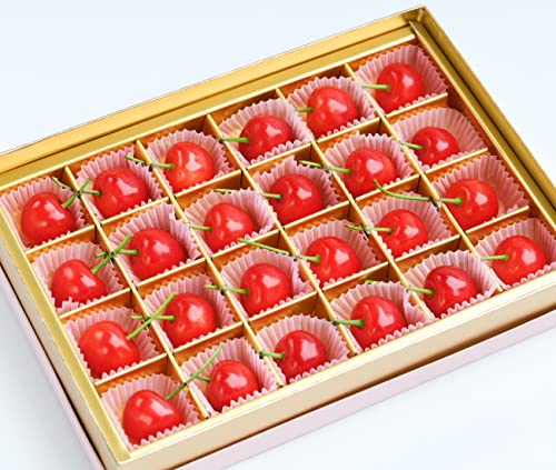 初物 山形県産 さくらんぼ 佐藤錦 (加温ハウス栽培/秀品/Lサイズ/24粒入り/常温便) 2026 ギフト 贈り物 贈答 お祝い お礼 お返し 内祝い プレゼント 加温ハウス サクランボ 山形 東根市 産地直送 旬 果物 フルーツ お取り寄せ