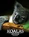 Koalas: Zen In Fur, BW Edition