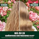 Herbal Essences Blütensanft Shampoo mit Rosenduft 350ml. Von stumpfem Haar zu seidig glänzendem Haare, Mit Rosenessenz, Inhaltsstoffe natürlichen Ursprungs, Vegan, ohne Silikone