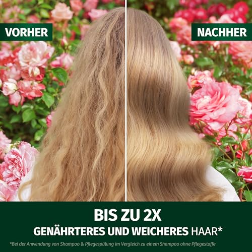 Herbal Essences Blütensanft Shampoo mit Rosenduft 350ml. Von stumpfem Haar zu seidig glänzendem Haare, Mit Rosenessenz, Inhaltsstoffe natürlichen Ursprungs, Vegan, ohne Silikone