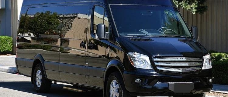 Grille antibrouillard Sprinter W906 protection pare-chocs avant 1 pair