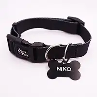 Coleira Ajustável Cachorro Yoo Pets e Plaquinha de Identificação Nome e Telefone PETS M (36 cm a 53 cm)
