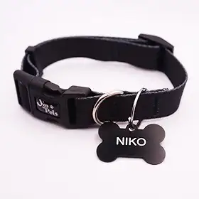 Coleira Ajustável Cachorro Yoo Pets e Plaquinha de Identificação Nome e Telefone PETS M (36 cm a 53 cm)