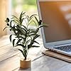 Soulchen 6 Pcs Artificial Olive Branches 12'' Mini Tabletop Tree Bough Decor Spring Olive Branch Faux Stem Desk with Base for Spring Decorations Indoor Home Dining Table #3