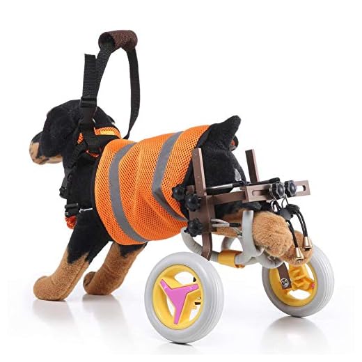 decwang Cart Pet Wheelchair, Dog Wheelchair, Disabled Dog Assisted Walk Car, for Handicapped Hind Legs Small Dog Cat/Doggie/Puppy Walk Stainless Steel
