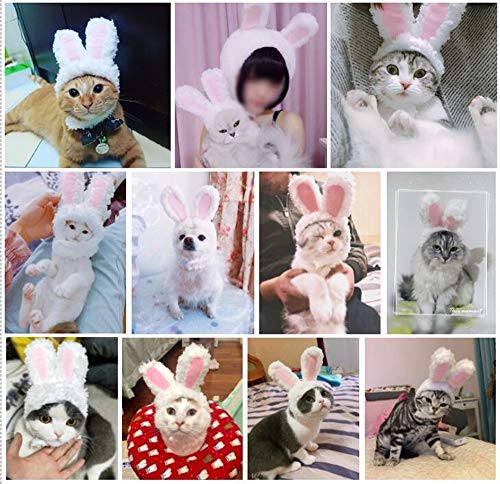 Disfraz de Conejo para Gatos y Perros Pequeños miniatura 6