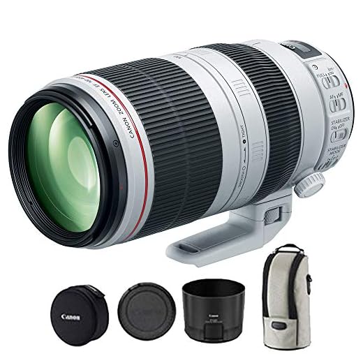 Canon EF 100-400mm L-Series Zoom Lens