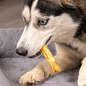   Pet-Factory-100-Made-in-USA-Beefhide-5-Chip-Rolls-Dog-Chew-Treats-Beef-Chicken-Flavor-18-Count1-Pack