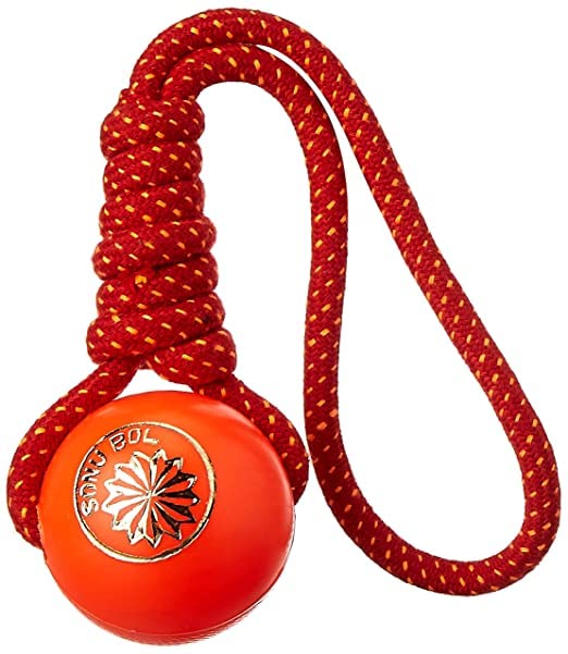 Smart Pups Durable Plastic Ball Knotted Cotton Rope Toys for Teeth Cleaning and Chewing, Small and Medium Dog/Cat/Puppy (Multicolor) (B0BXL1P8K3) Amazon Price History, Amazon Price Tracker
