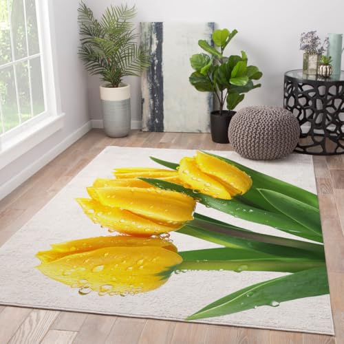 Tapis chambre coucher doux poils courts et antidérapant 160x230 - 4