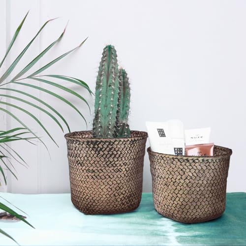 Compactor Mika RAN6532 Körbe, rund, aus geflochtener Binsenfaser, Dunkelbraun, 2 Stück, RAN6532