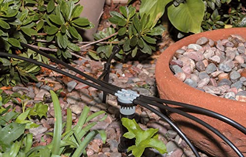 Rain Bird SWDMSPKIT Drip Irrigation Spot Watering Manifold on a Spike Kit, Bubblers and Emitters by Rain Bird - Image 3