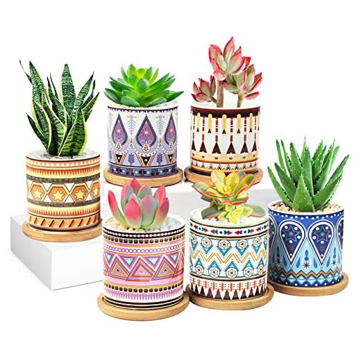 MAN NUO [2021 New Upgraded] Succulent Plant Pots 6 Pack with Drainage 3.1 Inch Ceramic Pots for Plants Indoor&Outdoor Garden Flower Planter Tray for All House Plants/Succulents/Flowers/Cactus