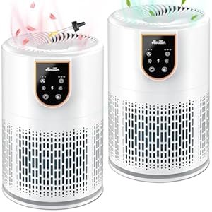 2 Pack Air Purifiers for Home Bedroom,Aircillin H13 True HEPA Filter Air Cleaner Remove 99.97% 0.3 Micron Particles/Smoke/Pet Dander/Pollen/Odor/for Office, Dorm, Apartment, Kitchen (AP0801)