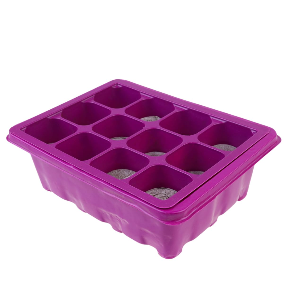 Toddmomy Set di Vassoi per Piantine Kit per La Coltivazione di Microgreens Vassoio per Piante Kit per La Germinazione Vassoio per Semi Tappetino per Piante Germogli da Giardino
