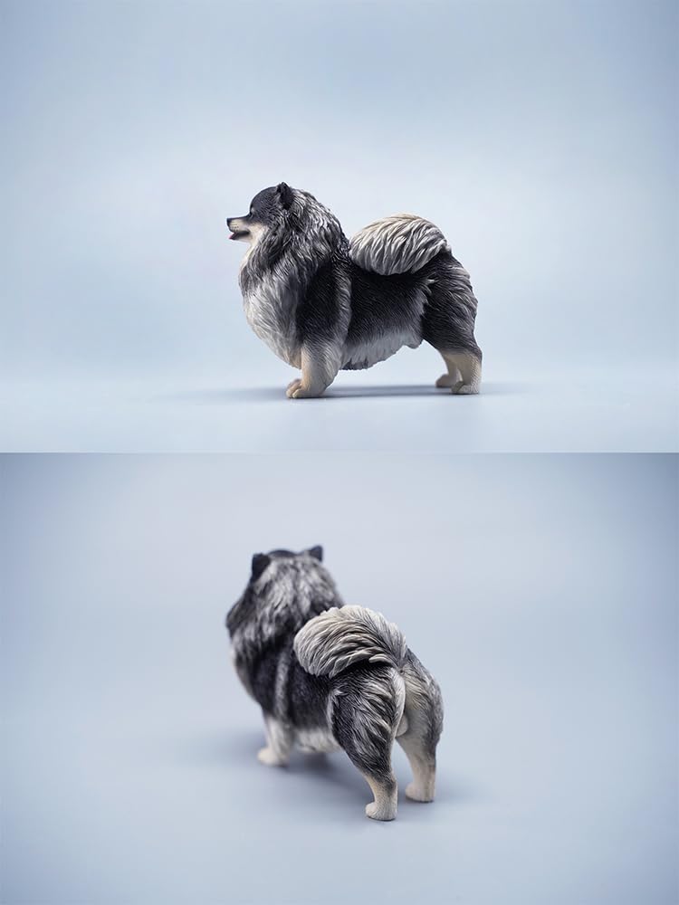 Amazon.com: WLNTDOLA 1:6 Scale Pomeranian Dog Figure Resin Cute