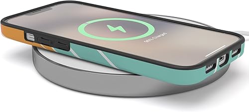 Vista 17 de Casely Funda para iPhone 13 Flores de Van Gogh El 50 aniversario del Museo Van Gogh Compatible con MagSafe 07 Van Gogh Todas Las Flores 50