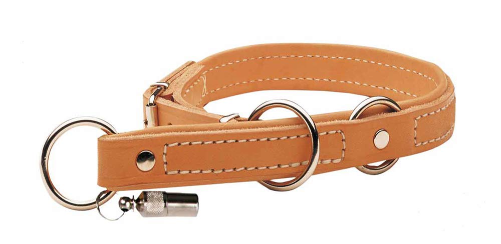 Akah Hundehalsband mit Begrenzung (persönliche Gravur möglich)