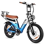 1000W Peak Brushless Motor: BAOLUJIE Dual motor ebike is powered by a robust 1000W (2000W peak) high-speed brushless motor, boasting a top speed of 35MPH and maximum torque of 75N.m. Its impressive power and performance allow you to conquer steep inc...