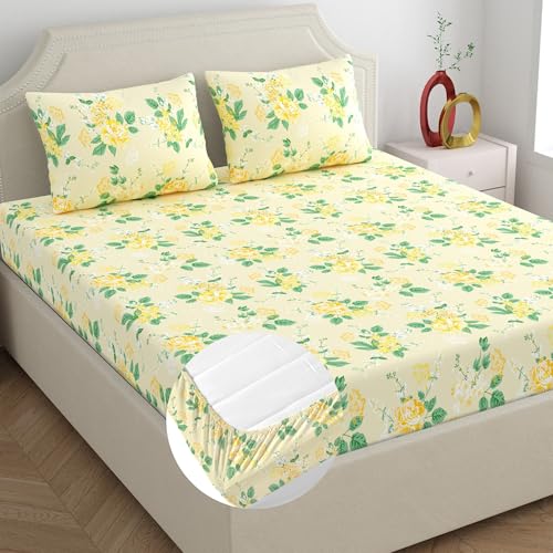 Image of Home Ecstasy 100% Cotton King Fitted Bedsheet with 2 Pillow Covers - (Size 72 x 78 inches, 140 TC, Colour - Cream: Gilded Cream)
