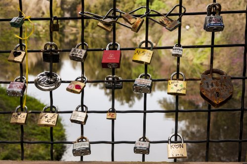 Davis Love III PGA Golf Framed 8x10 Photograph Swinging Driver
