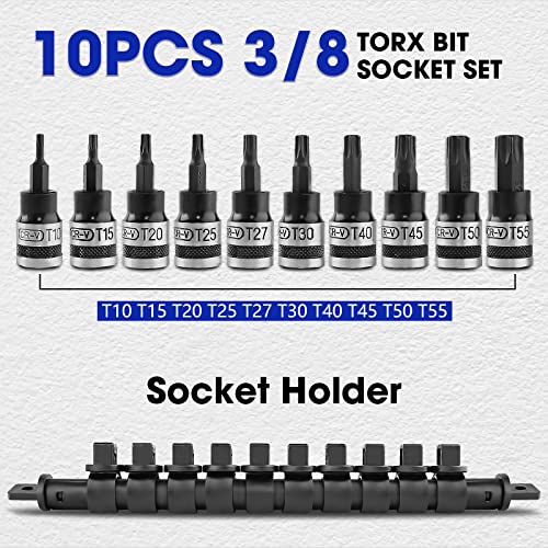 Ptstel 3/8 Inch Bit Socket Set With Socket Holder 10Pcs 3/8'' Drive Bit Socket Set Cr-V Socket And S2 Bits (10 Pcs Torx Bit Socket 3/8 '' Drive) #TOP1