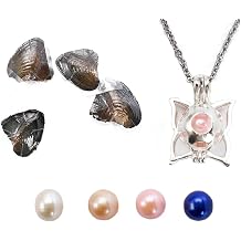 kiss me Natural Oysters With Pearl Inside, Pearl Oysters with DIY Necklace Kit locket Cage Silver Necklace pendant 18'',Anniversary Decoration for Jewelry Making Gifts