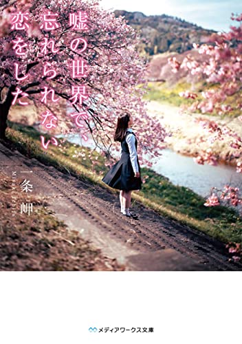 嘘の世界で、忘れられない恋をした (メディアワークス文庫)の商品画像