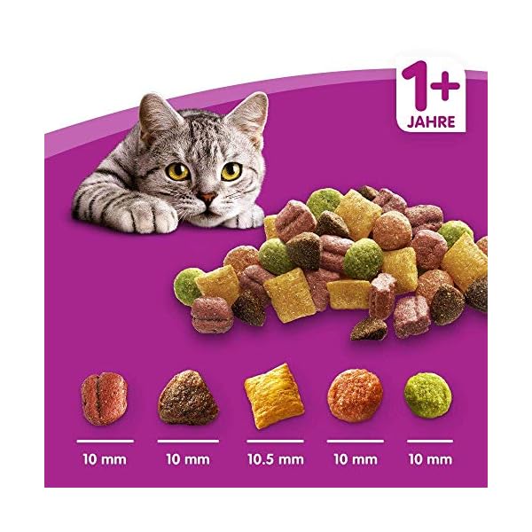 Whiskas Katzenfutter Trockenfutter, verschiedene Sorten und Größen – Bild 7