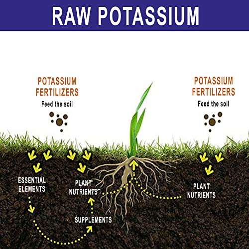 Raw- Potassium Health Element For Plant Growth Increase Fruiting And Flower Production Plant Feeding Supplement For Horticultural Use Indoor Outdoor 2 Lb #TOP3