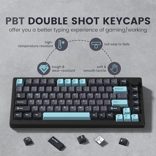 Image of dagaladoo Double Shot PBT keycaps Set, Cherry Profile Keyboard Keycaps | Retro key caps full size,Custom keycaps for 60% 65% 75% 100% Cherry-MX switch Mechanical Keyboard(Grey /Blue)