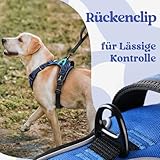 rabbitgoo Hundegeschirr Mittelgroße Hunde, Verstellbare Geschirr Hund ohne Zug & Würgen, Anti Zug Hundegeschirr mit Griff, weich Gepolsterte Reflektierende Brustgeschirr, Blau M