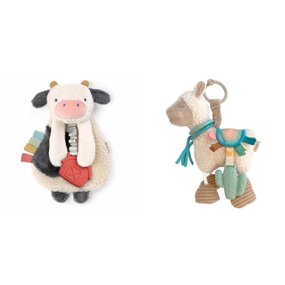 Itzy Ritzy - Itzy Lovey Including Teether, Textured Ribbons & Dangle Arms; Features & Link & Love Toy for Stroller or Car Seat; Features Textured Ribbons, Crinkle Sounds, Clinking Rings