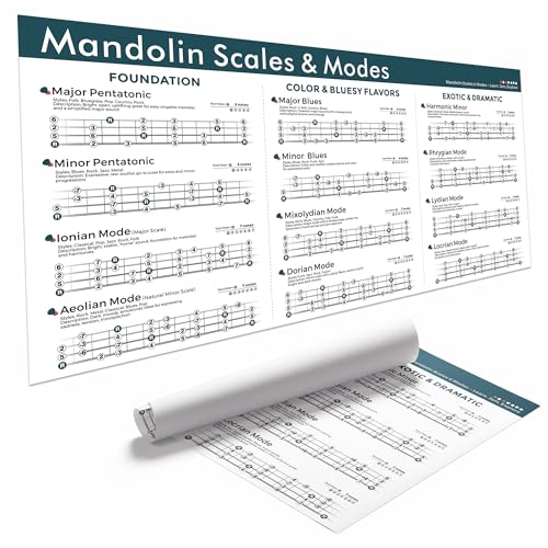 Mandolin Scales & Modes Poster 18x36 Canvas