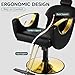 Hicomony Barber Salon Chair for Hair Stylist, Styling Hair Salon Chair with Professional Hydraulic PUM, Multi-Function Shampoo Chair Beauty Salon Brading Hairdresser Chair (Black)