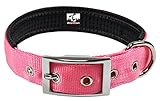 Downtown Pet Supply Deluxe Padded Adjustable Dog Collar - Metal Buckle & D-Ring - Machine Washable & Water Resistant - Pink - M