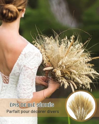 KGDUYC 50 pièces décorations naturelles d'herbe de blé, fleurs d'herbe de blé séchées, bouquets de mariage, décoration à la maison avec des fleurs bohémiennes, fête rustique à la ferme – vue 6