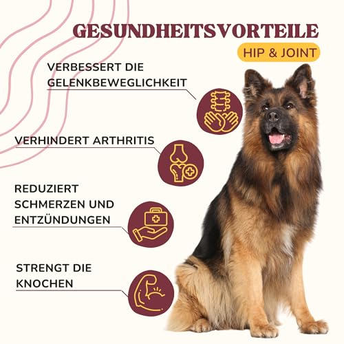 lamina care - Gelenk-Kapseln für Hunde – Mit Grünlippmuschel, Glucosamin & MSM – Natürliche Unterstützung für Gelenke, Hüften & Beweglichkeit - 180 Kapseln