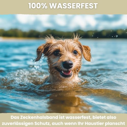 Animalea® [2 Stück] Zeckenhalsband für kleine Hunde - verbesserte Formel mit Schwarzkümmelöl - 100% Natürlich - bis zu 8 Monate wirksamer Schutz gegen Zecken Flöhe Läuse Ungeziefer