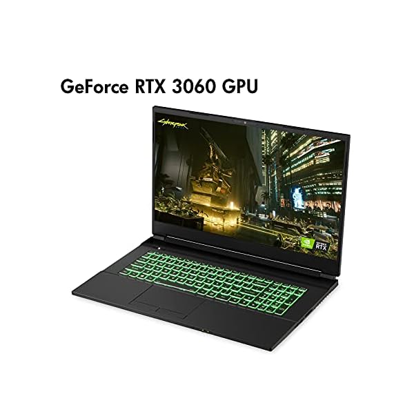 Sager NP7879PQ 17.3-Inch Thin Bezel FHD 144Hz 72% NTSC Gaming Laptop, Intel i7-11800H, RTX 3060 6GB, 32GB RAM, 1TB NVMe SSD + 1TB HDD, Windows 10