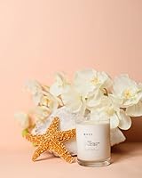 Vista 8 de Brooklyn Candle Studio Maui - Vela clásica de 2 mechas, vela perfumada de lujo, cera de soja vegana, vertida a mano en los Estados Unidos, tiempo