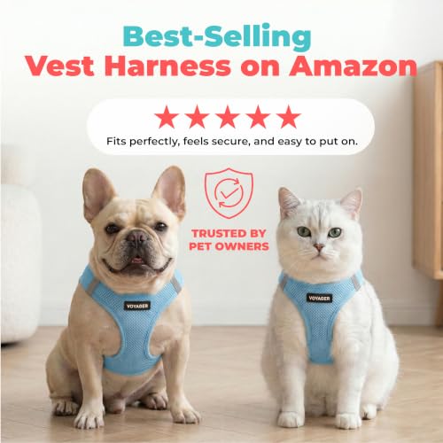 Image of Voyager Step-in Air Dog Vest Harness - Baby Blue, Small | 14.5-16 inch in Chest, Reflective Bands, All Weather Breathable Air Mesh, Cats Compatible, Lightweight, Fast Drying