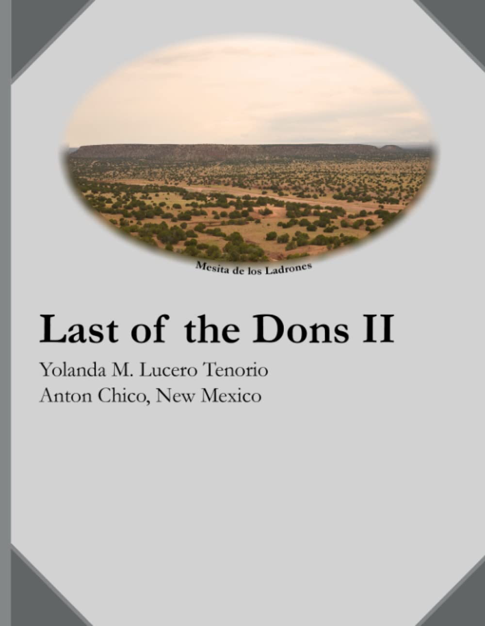 Last of the Dons II      Paperback – November 22, 2022